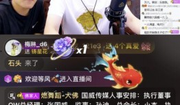 鹏哥爆料行业秘密视频大全,视频大全深度解析